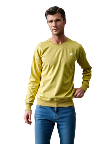 Men's Sweatshirt