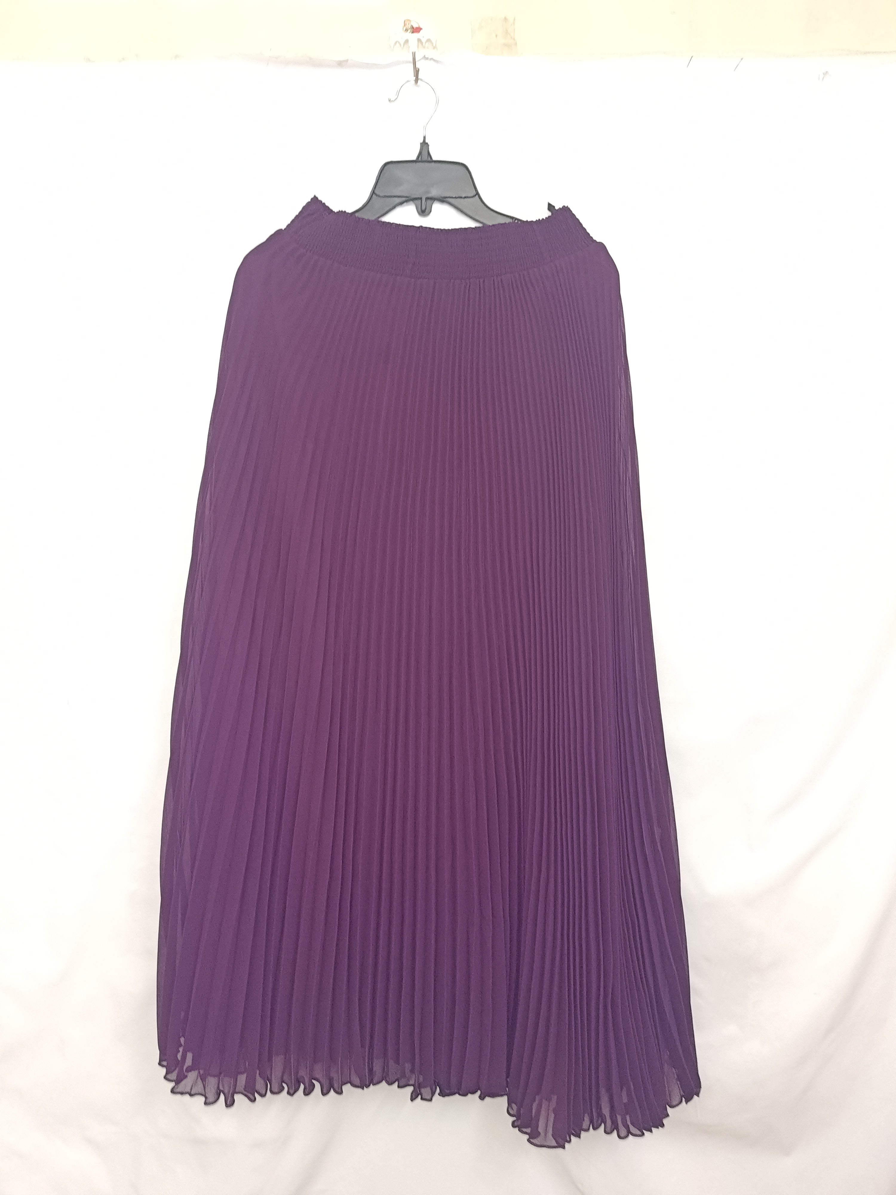 Women's  elegant pleated skirt